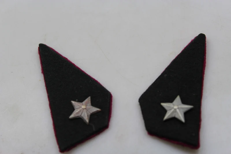 Paar offizielle REI-Insignien aus dem 2. Weltkrieg