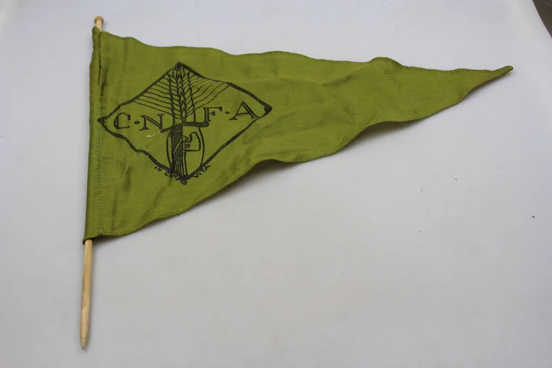 CNFA-Flagge