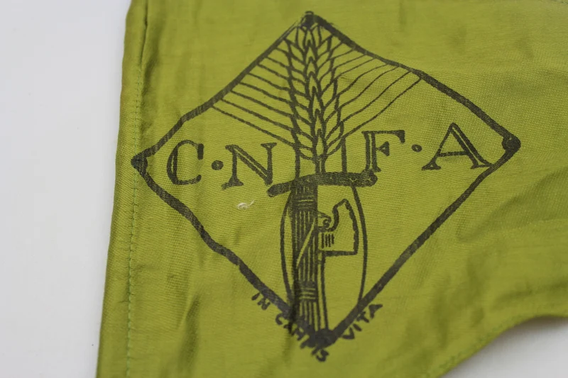 CNFA-Flagge