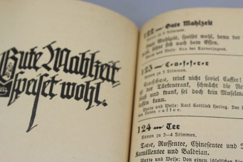 „Singend Wollen wir Marschieren“