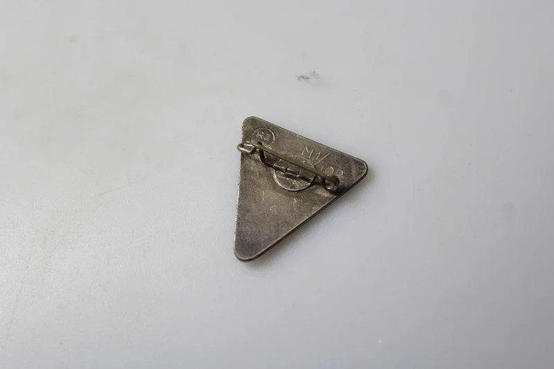 Anführer NS-Frauenschaft Emaille Pin