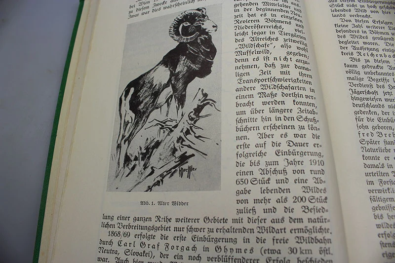 "Jahrbuch der Deutschen Jägerschaft" 1938/39. Illustriertes Handbuch