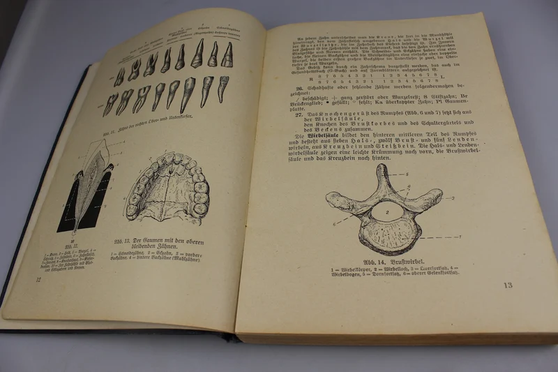 Gesundheitshandbuch von 1939