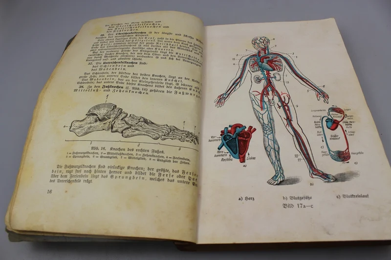 „Unterrichtsbuch für Sanitats Unteroffiziere und Mannschaften“ 1939