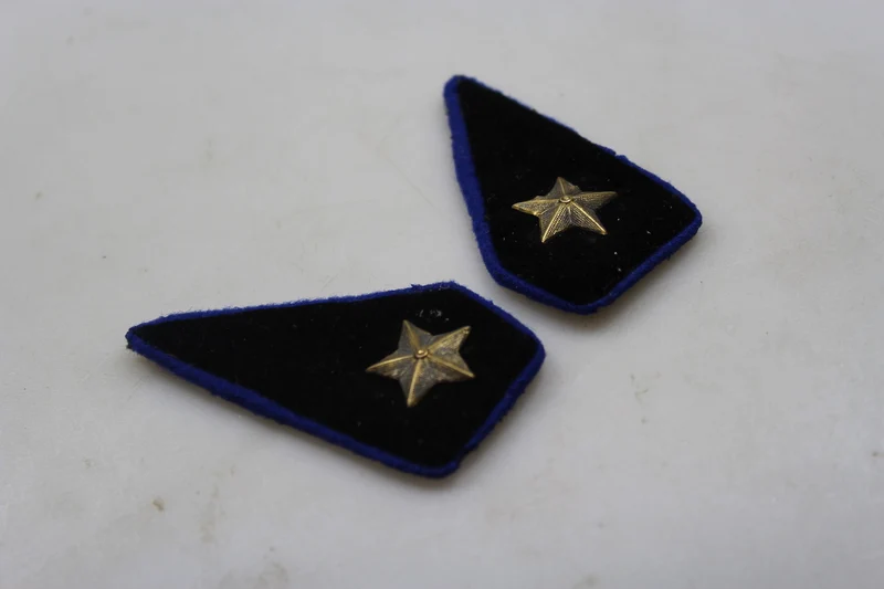 Paar offizielle REI-Insignien aus dem 2. Weltkrieg