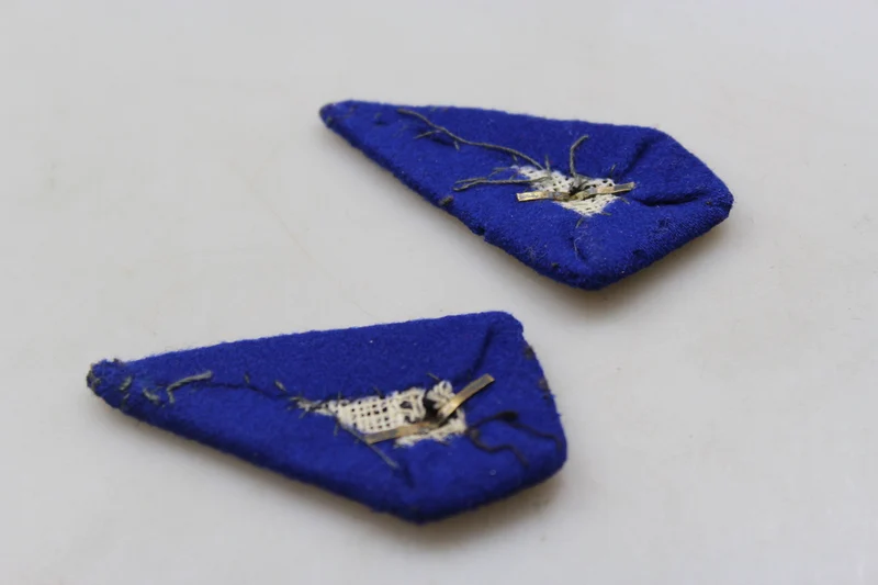 Paar offizielle REI-Insignien aus dem 2. Weltkrieg