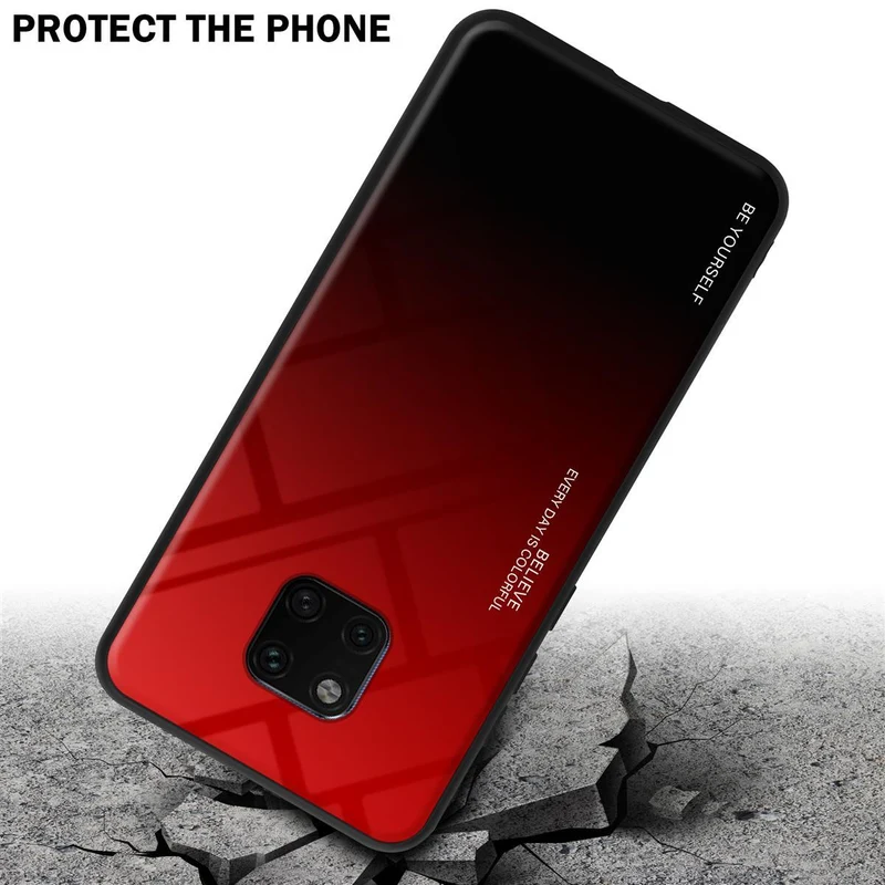 Cadorabo Hülle kompatibel mit Huawei MATE 20 PRO Zweifarbige Schutzhülle aus Tempered Glas und TPU Silikon