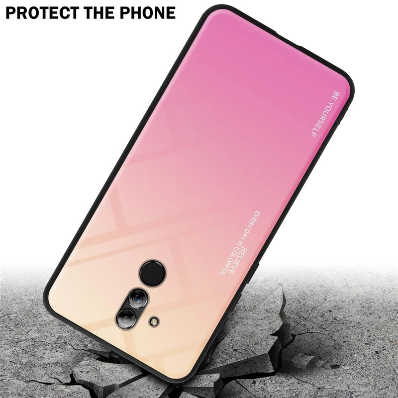 Cadorabo Hülle kompatibel mit Huawei MATE 20 LITE Zweifarbige Schutzhülle aus Tempered Glas und TPU Silikon