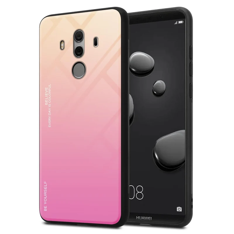 Cadorabo Hülle kompatibel mit Huawei MATE 10 PRO Zweifarbige Schutzhülle aus Tempered Glas und TPU Silikon