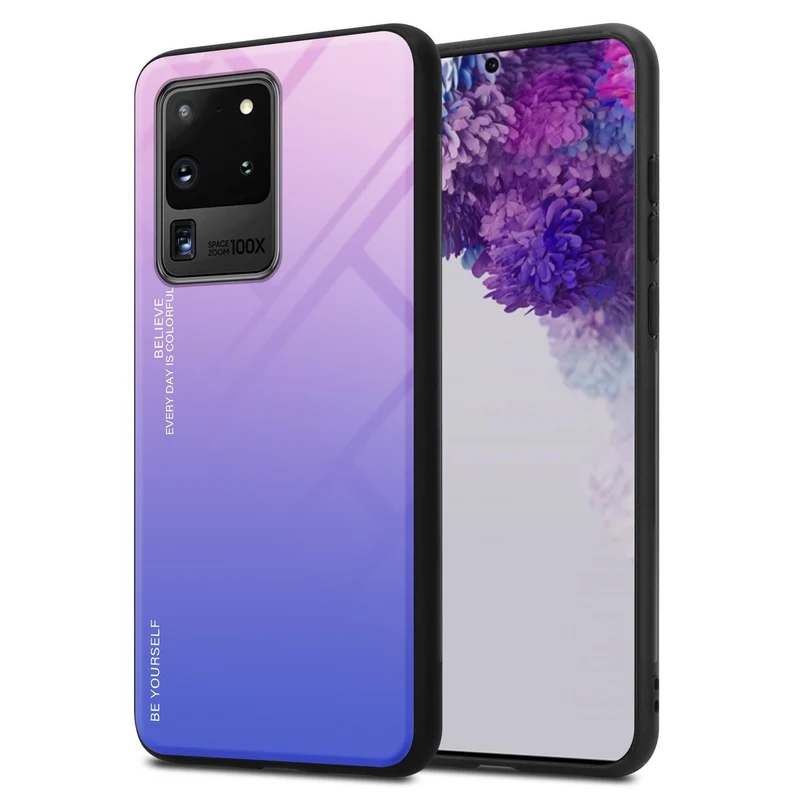 Cadorabo Hülle kompatibel mit Samsung Galaxy S20 ULTRA Zweifarbige Schutzhülle aus Tempered Glas und TPU Silikon