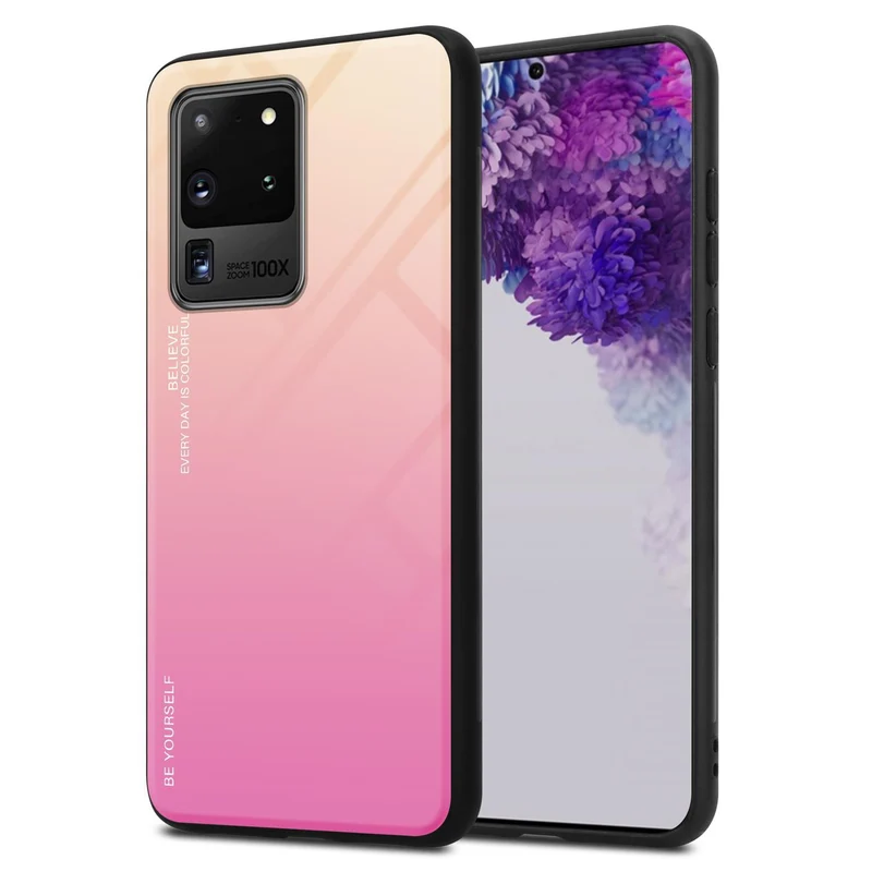 Cadorabo Hülle kompatibel mit Samsung Galaxy S20 ULTRA Zweifarbige Schutzhülle aus Tempered Glas und TPU Silikon