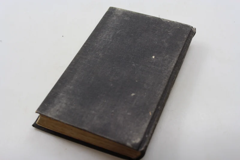 „Eine Armee meutert“ PC Ettighoffer – 1932