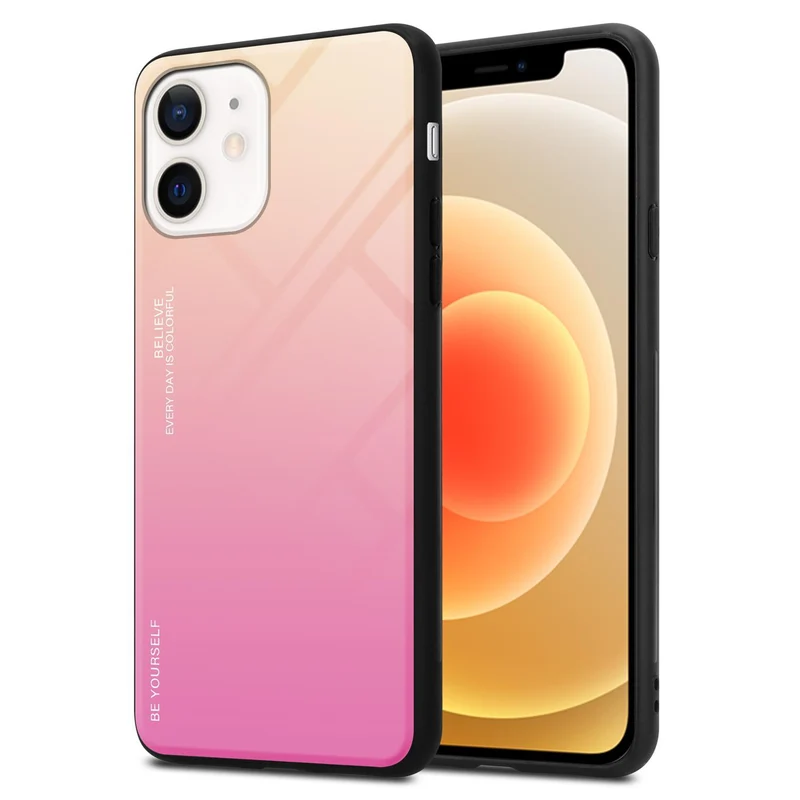 Cadorabo Hülle kompatibel mit Apple iPhone 12 MINI Zweifarbige Schutzhülle aus Tempered Glas und TPU Silikon