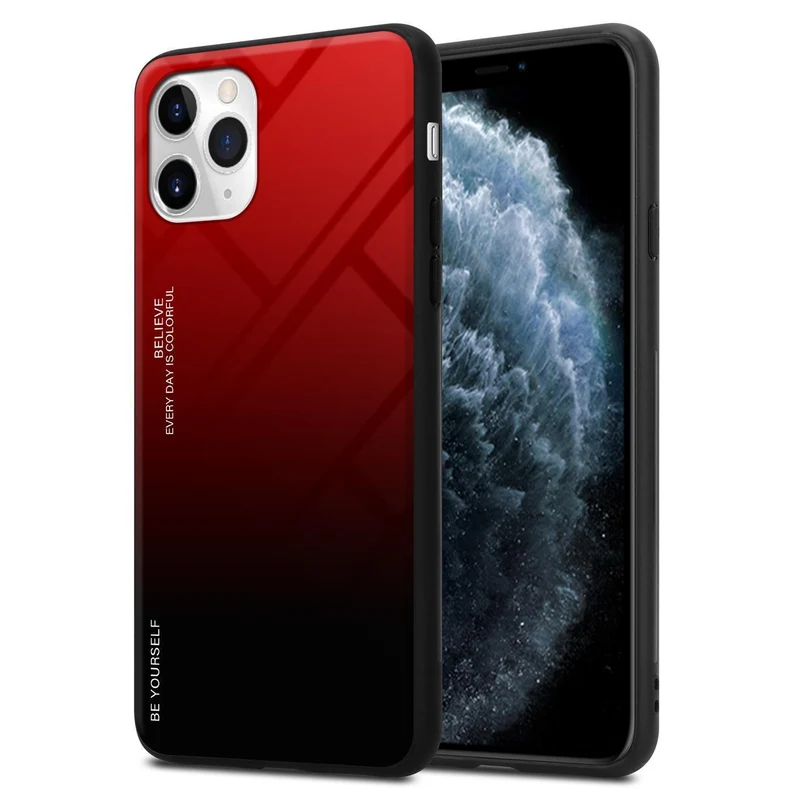 Cadorabo Hülle kompatibel mit Apple iPhone 11 PRO MAX Zweifarbige Schutzhülle aus Tempered Glas und TPU Silikon