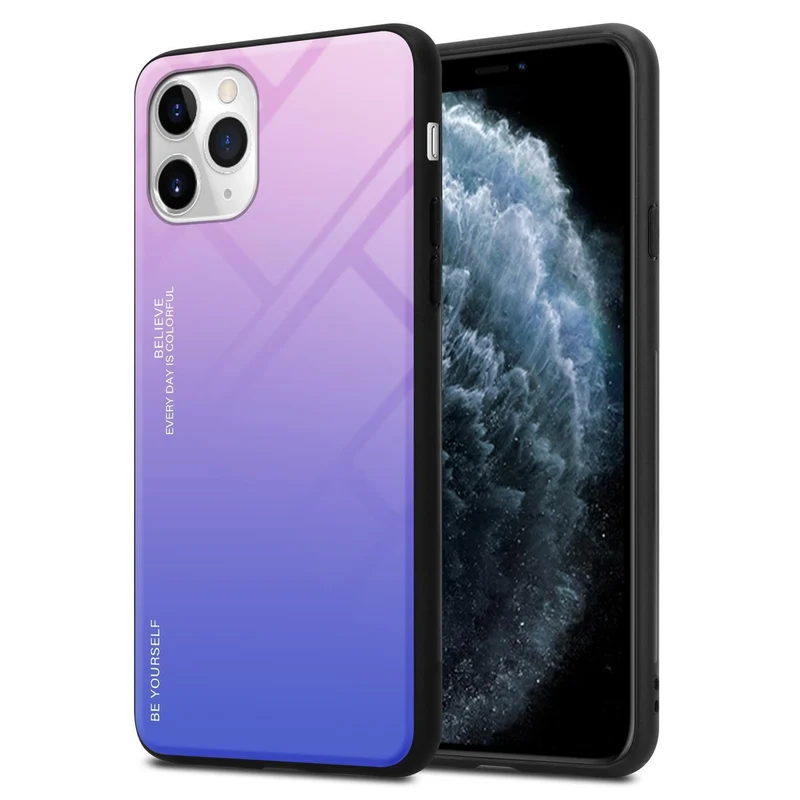 Cadorabo Hülle kompatibel mit Apple iPhone 11 PRO Zweifarbige Schutzhülle aus Tempered Glas und TPU Silikon