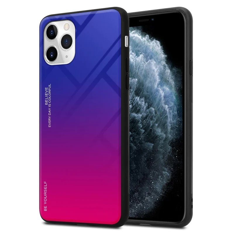 Cadorabo Hülle kompatibel mit Apple iPhone 11 PRO Zweifarbige Schutzhülle aus Tempered Glas und TPU Silikon