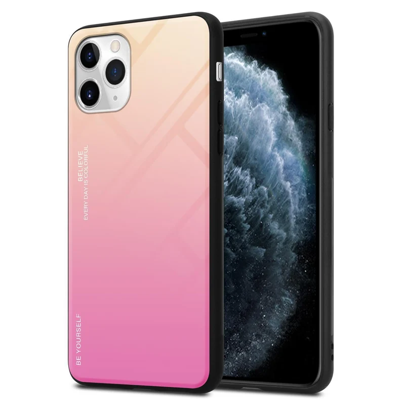 Cadorabo Hülle kompatibel mit Apple iPhone 11 PRO Zweifarbige Schutzhülle aus Tempered Glas und TPU Silikon