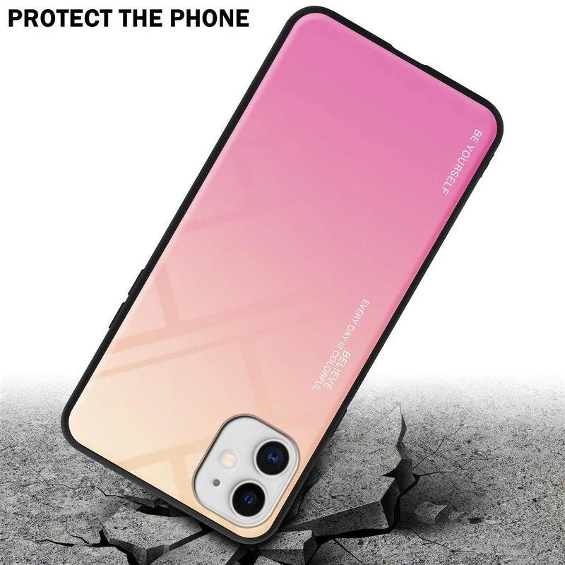 Cadorabo Hülle kompatibel mit Apple iPhone 11 Zweifarbige Schutzhülle aus Tempered Glas und TPU Silikon