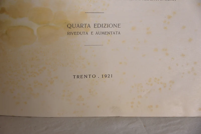 "Das Martyrium des Trentino" - 1921