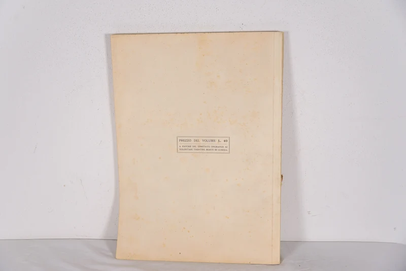 "Das Martyrium des Trentino" - 1921
