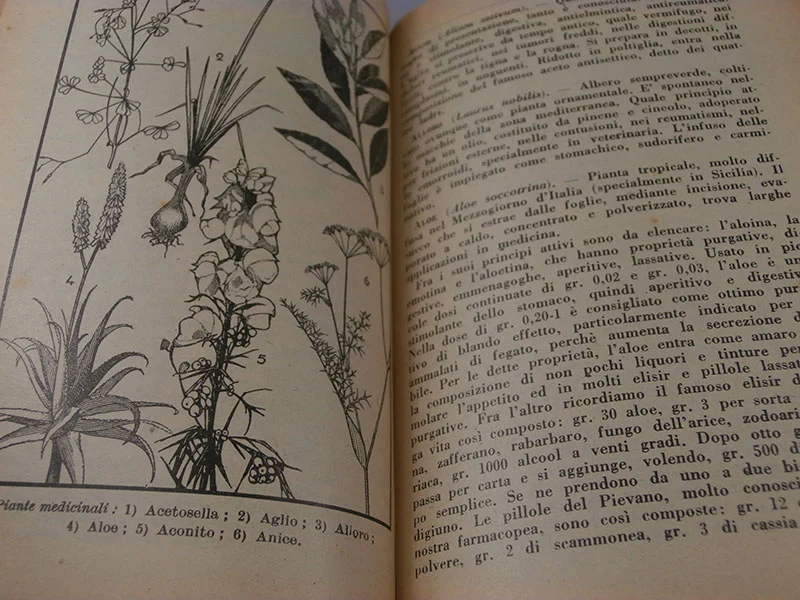 "Agraragenda" 1933 XI° vz