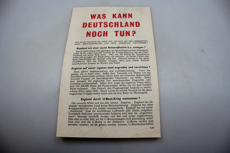 Propaganda-Flyer