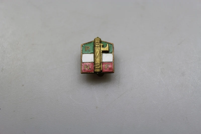 PNF-Emaille-Anstecknadel