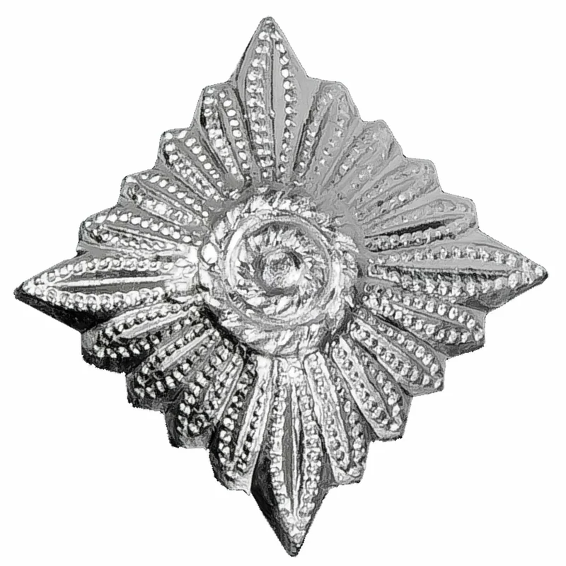 Dienstgradstern