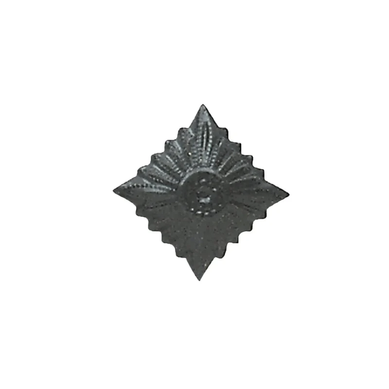Dienstgradstern